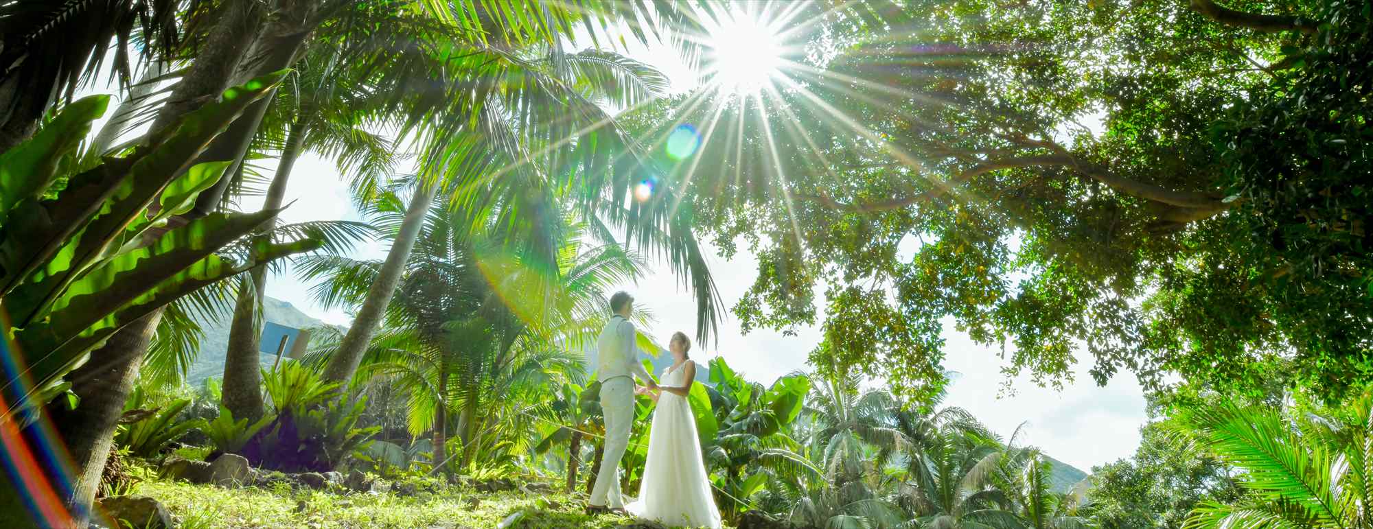 沖縄石垣島フォト・ウェディング Ishigaki Island Okinawa Yaeyama Yashi Photo Wedding サタケ八重山ヤシ記念館　挙式前撮影