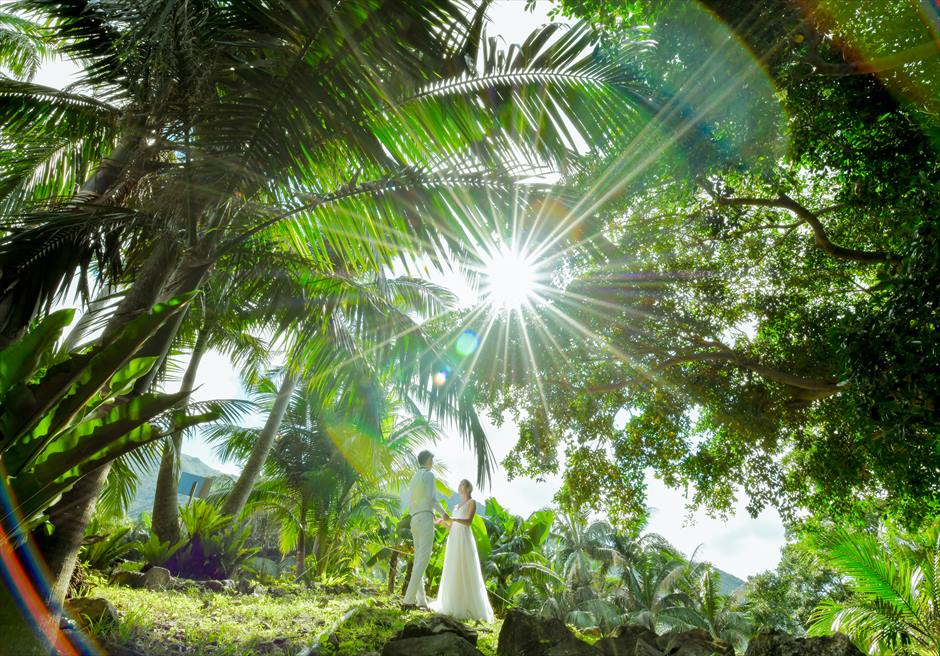 沖縄石垣島フォト・ウェディング/
Ishigaki Island Okinawa Yaeyama Yashi Photo Wedding/
サタケ八重山ヤシ記念館/挙式前撮影