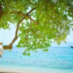 ウェディング　ウエディング　ウェディングドレス　石垣島　レンタル　ブライダル　ブライダルサロン　ドレスハウス　リゾート　リゾートドレス