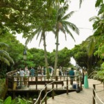 コーラル・テラス石垣島・沖縄結婚式│デッキ・ウェディグ・パーティー│デッキ４段目・披露宴前カクテルパーティー