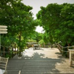 コーラル・テラス石垣島・沖縄結婚式│デッキ・ウェディグ・パーティー│テラスよりデッキ１段目を望む