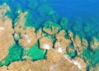コーラルテラス石垣島リゾート周辺コーラル環礁