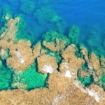 コーラルテラス石垣島リゾート周辺コーラル環礁