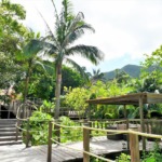 コーラルテラス石垣島　アッパー・デッキ