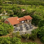 コーラル・テラス石垣島・沖縄結婚式テラス・ウェディング・パーティー全景