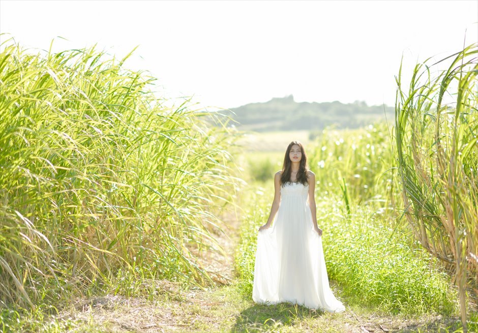 Kohama Island 2Spot<br>Wedding Photo Shooting