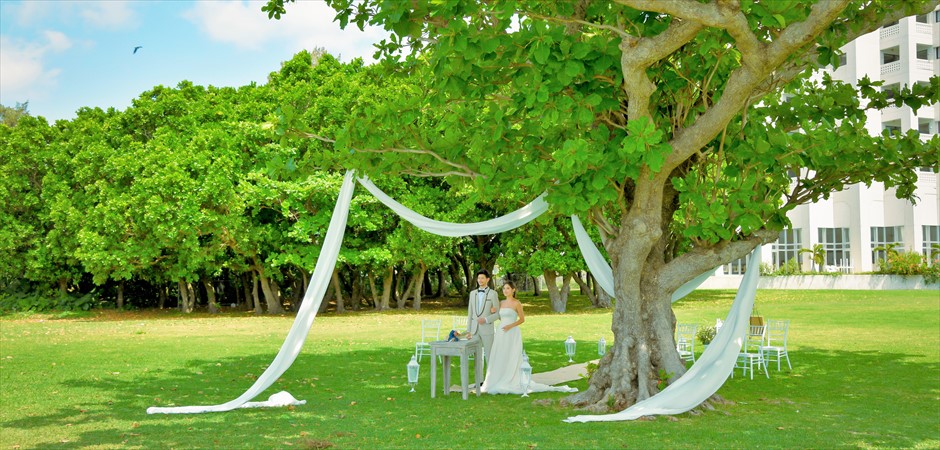 Oceanfront Park Tree Garden Wedding