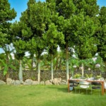 石垣白保ノスタルジーガーデンガーデン・パーティー会場装飾一例