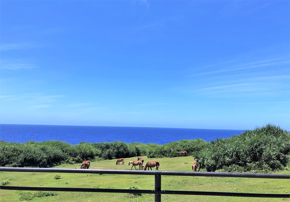 <br />
<b>Warning</b>:  Undefined variable $post_id in <b>/home/knn4/wedding-ishigaki.com/public_html/wp-content/themes/wedding-ishigaki/tour.php</b> on line <b>85</b><br />
与那国島