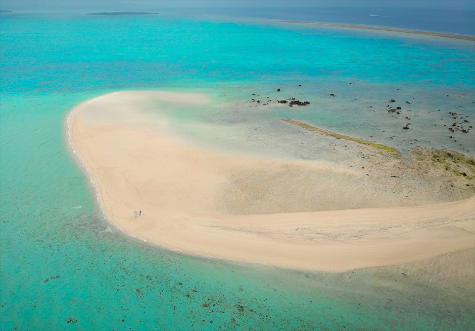 Phantom Island Wedding