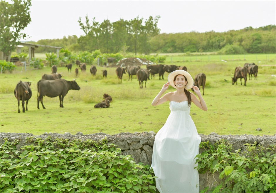 Kuroshima Island 2Spot<br>Wedding Photo Shooting