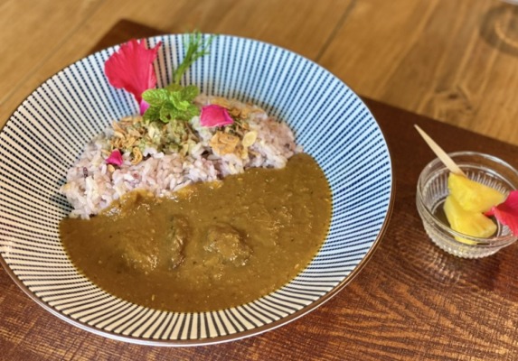 石垣島 ハーブガーデン ランチメニュー カレーライス ガーデンパナ