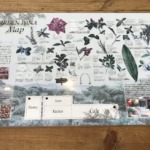 石垣島 ガーデンパナ PANA 案内図 マップ