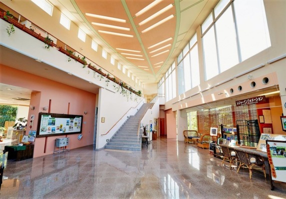 西表島 パイヌマヤ ジャングルホテル