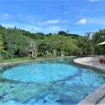 ジャングルホテルパイヌマヤ 西表島 石垣 八重山諸島