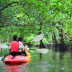 西表島 パイヌマヤ ジャングルホテル カヌー マングローブ アドベンチャー