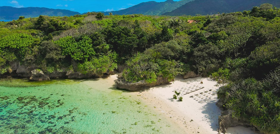 Secret Beach Leaf Wedding