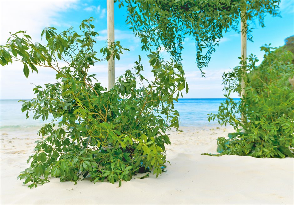 コーラルテラス石垣島ビーチ挙式 リーフ・ウェディング 生花グリーンリーフ・アーチ装飾