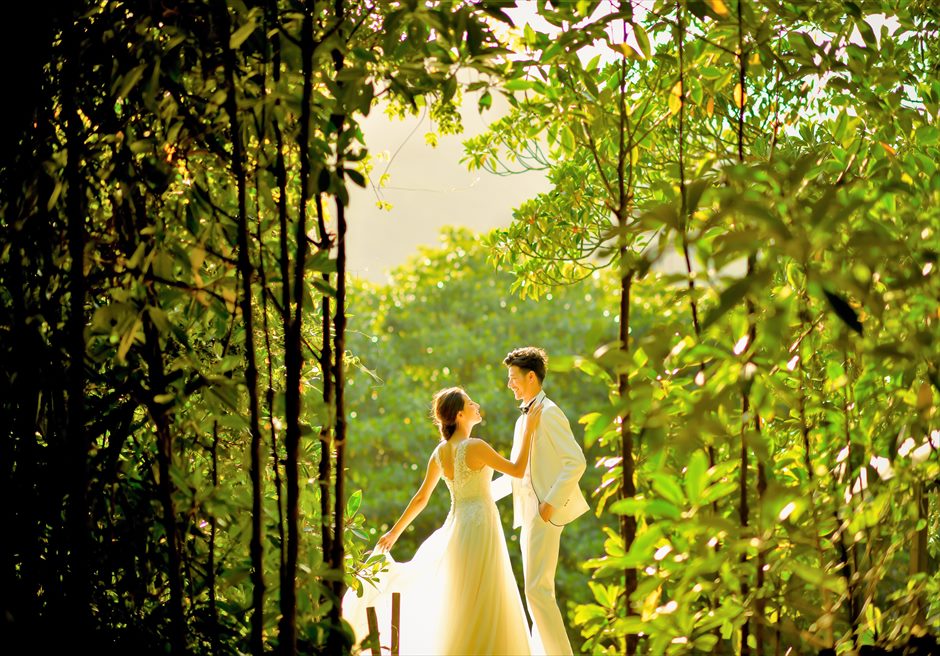 Iriomote Mangrove<br>Wedding Photo Tour