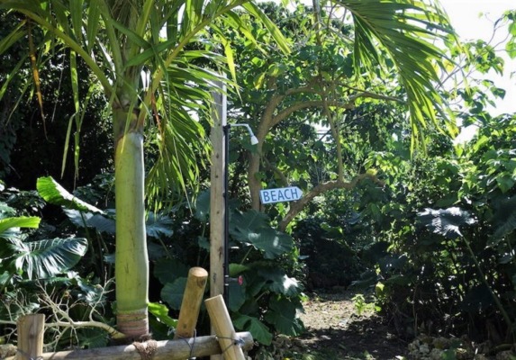 石垣島 貸切ヴィラ シエスタ ビーチ