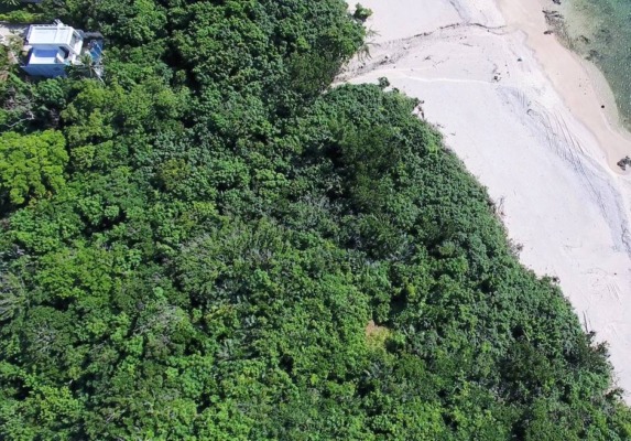 石垣島 セブンスターズリゾート 一棟貸切ヴィラ
