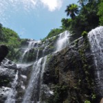 沖縄 西表 ジャングルホテルパイヌマヤ オプション トレッキングツアー