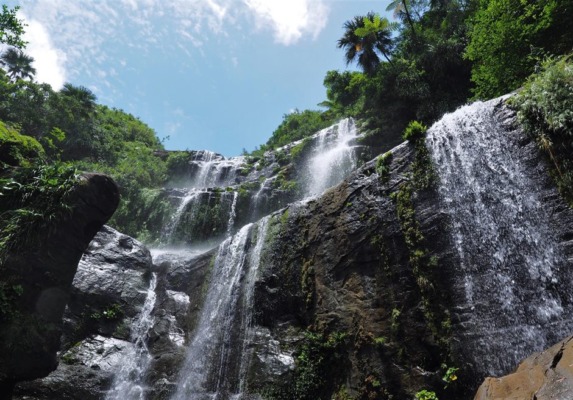 沖縄 西表 ジャングルホテルパイヌマヤ オプション トレッキングツアー