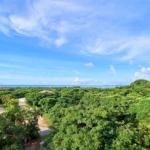 沖縄 西表島 ジャングルホテルパイヌマヤ 挙式 ハネムーン ツアー