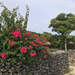 沖縄 竹富島 南潮庵 エントランス