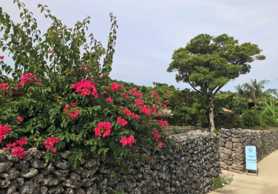沖縄 竹富島 南潮庵 エントランス