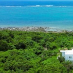 沖縄 石垣島 シエスタ・プライベート・プール・ヴィラ ウェデイング 挙式