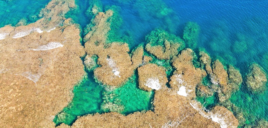 石垣島北部ウェディング