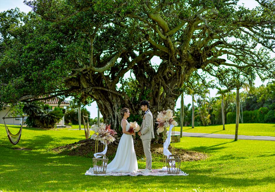 はいむるぶし・小浜島・結婚式 ツリー・ガーデン・ウェディング 大木を舞台にしたガーデン挙式シーン