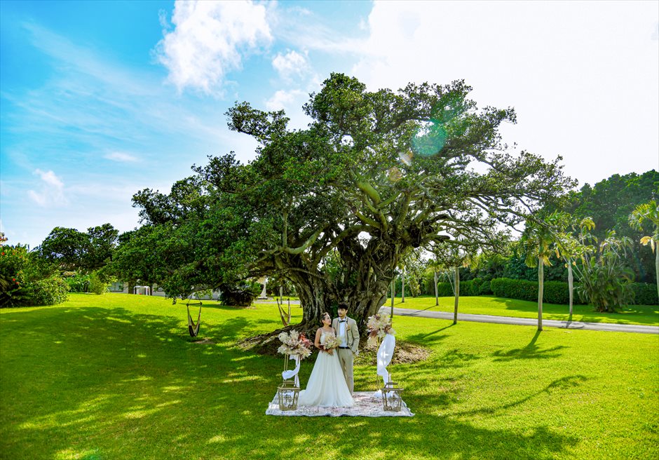 はいむるぶし・小浜島・結婚式 ツリー・ガーデン・ウェディング 大木の元で誓う神秘的な挙式シーン