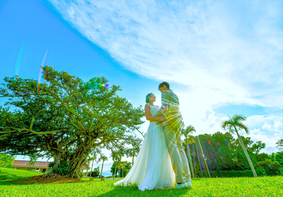 はいむるぶし　ツリーガーデン