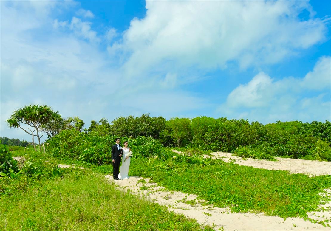 遠く広大な海を望む入場シーン
