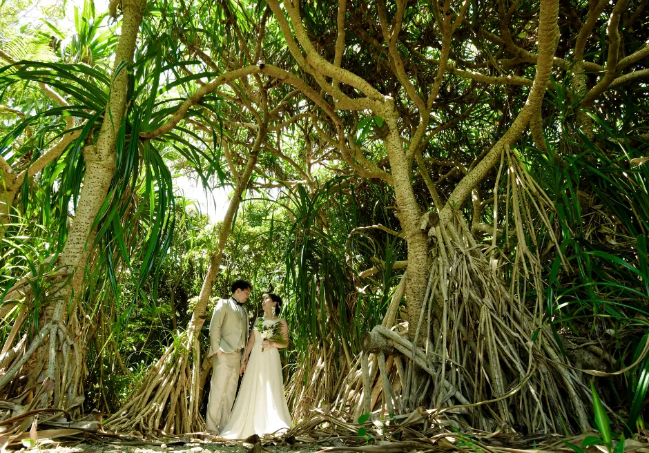 はいむるぶし小浜島 ガジュマルの森で撮影するフォトウェディングの実例