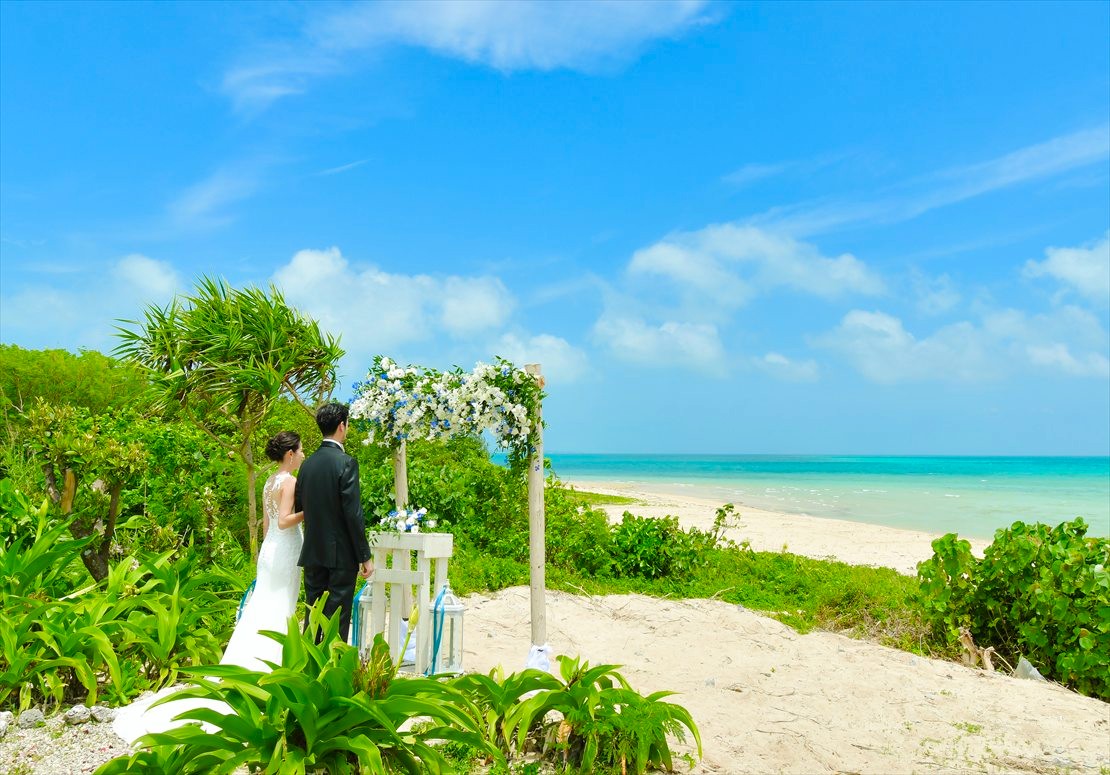 緑美しいツリーガーデン入場