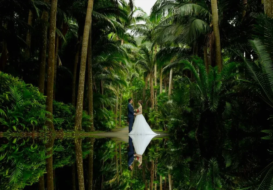 八重山ヤシ園のヤシ並木で撮影するフォトウェディング